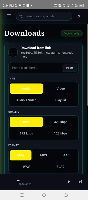 The downloader: type, quality and format
